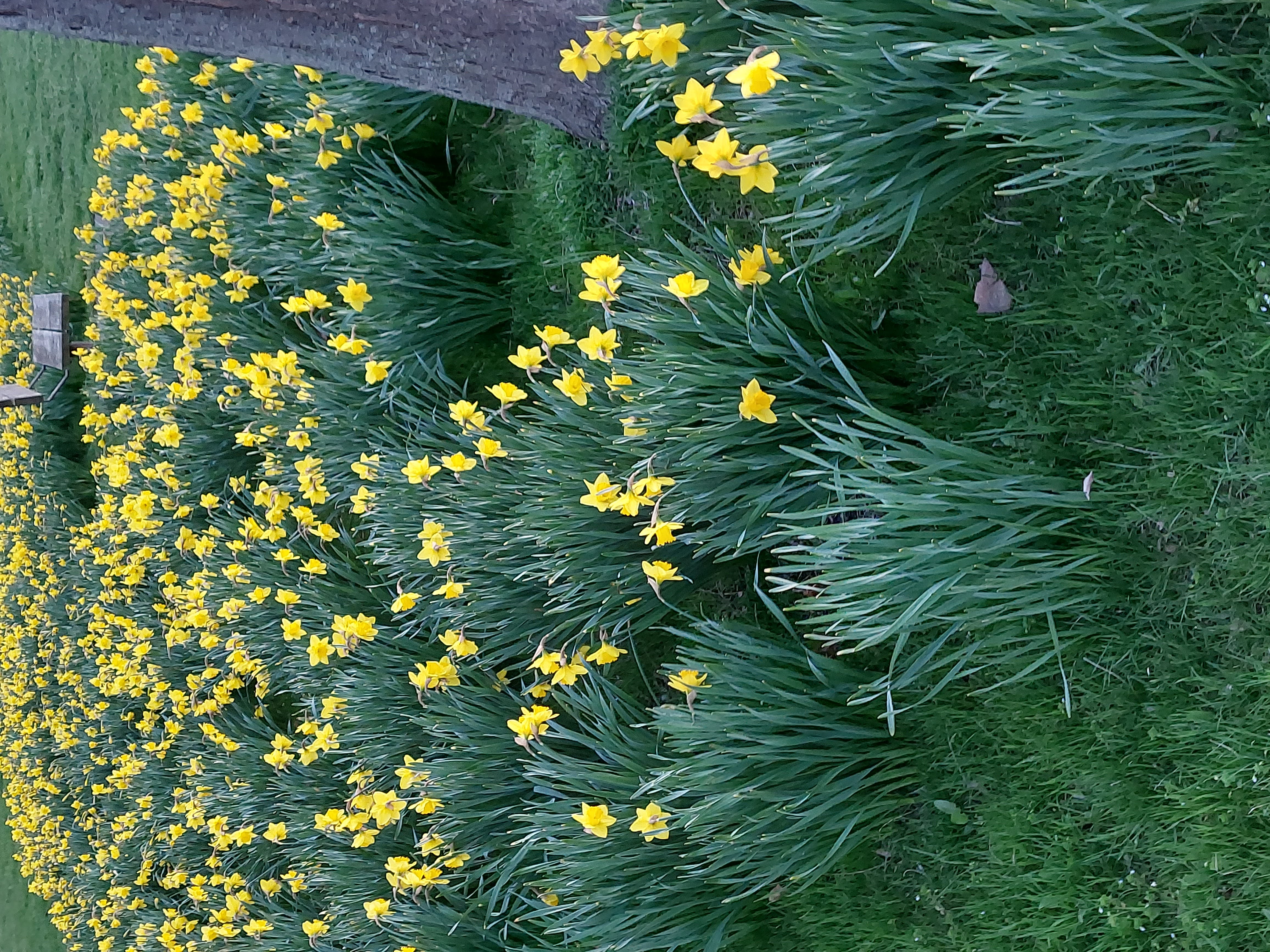 . Spring is here!